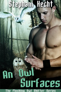 An Owl Rises (2010)