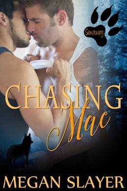 Chasing Mac (Sanctuary Book 13) (25263)