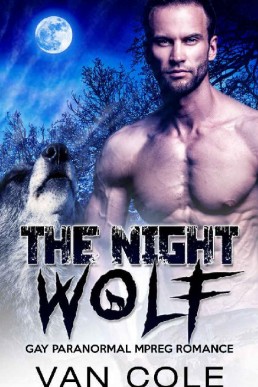 The Night Wolf_ Gay Paranormal MPRE (1692)