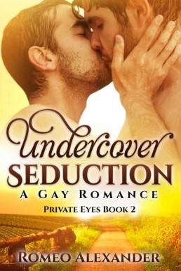 Undercover Seduction_ A Gay Romanc (26566)