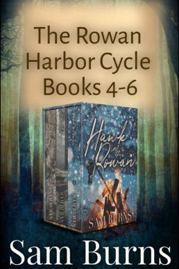 Rowan Harbor Trilogy Two_ Hawk in t (1753)