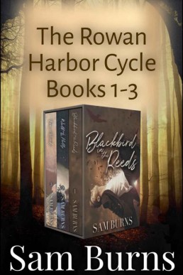 Rowan Harbor Trilogy One_ Blackbird (1754)