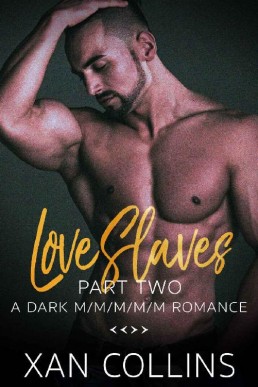 Love Slaves Part Two_ A Dark M_M_M_ (3391)