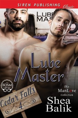 Lube Master (Cedar Falls 4)