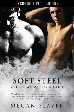 Soft Steel (25268)