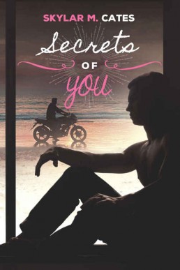 Secrets of You (Sunshine and Happin (4178)