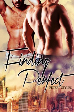 Finding Perfect_ M_M Gay Romance (27815)