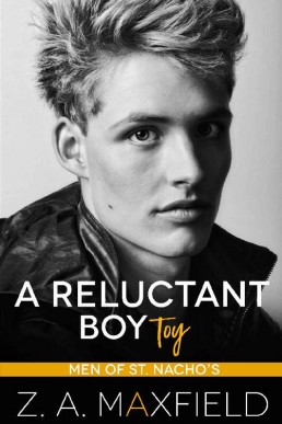 A Reluctant Boy Toy_ A demisexual, (28025)