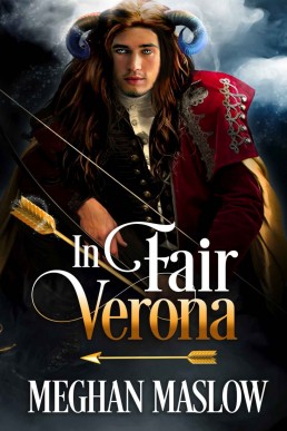 In Fair Verona_ A LGBTQ Fantasy My (28338)