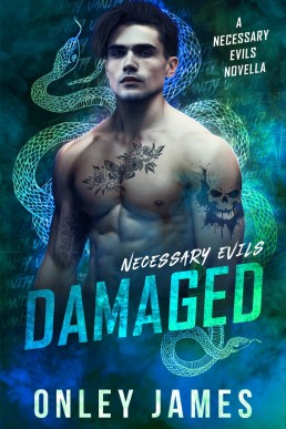 Damaged  (Necessary Evils Book 3.5)