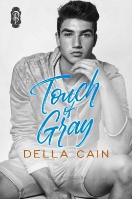 Touch of Gray (Country Daddy, City Little Book 3)