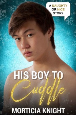 His Boy to Cuddle (Naughty or Nice Season Two Book 9)