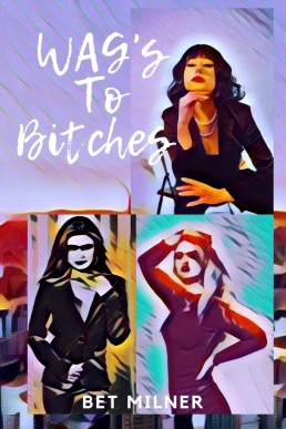 WAGs to Bitches: A Lesbian Romance (New Cover)