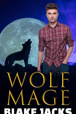 Wolf Mage_ An MM Urban Fantasy_ Wo (28985)