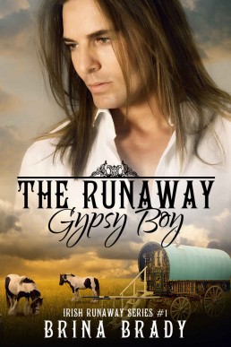 The Runaway Gypsy Boy (Irish Runaw (29181)