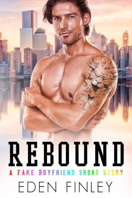 Rebound (Fake Boyfriend #2.5)