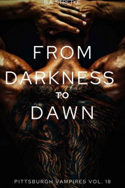 From Darkness to Dawn (Pittsburgh Vampires 18)