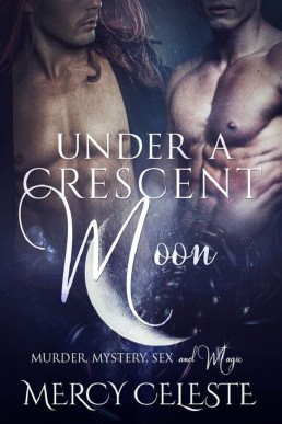 Under a Crescent Moon (29241)