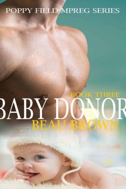 Baby Donor (Poppy Field Mpreg Romance Book 3)