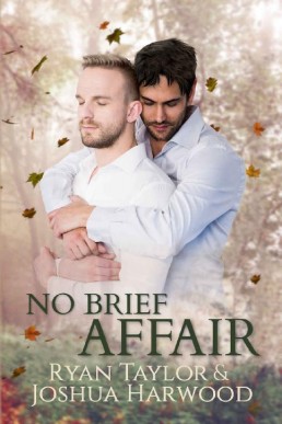 No Brief Affair (Beyond Courtship #1)