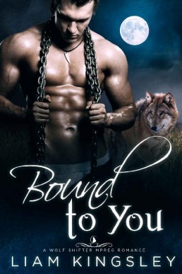 Bound To You (Speakeasy Secrets Bo (29555)