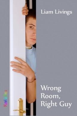 Wrong Room, Right Guy (29726)