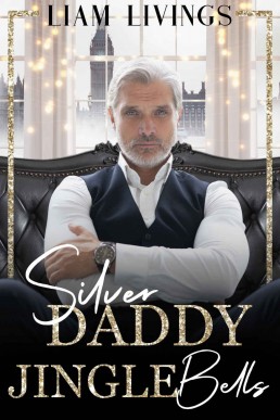 Silver Daddy Jingle Bells: A steamy, bisexual awakenings, age gap festive gay romance