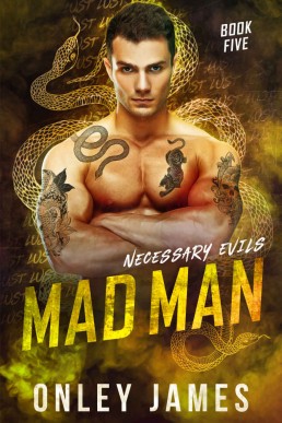 Mad Man (Necessary Evils Book 5)