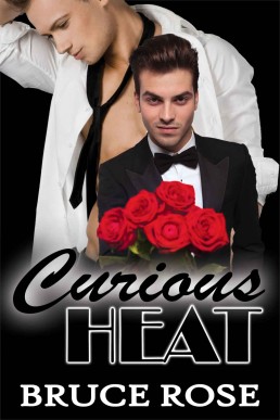 Curious Heat  (A Fairview Story 1)