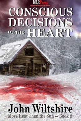 Conscious Decisions of the Heart (More Heat Than The Sun Book 2)