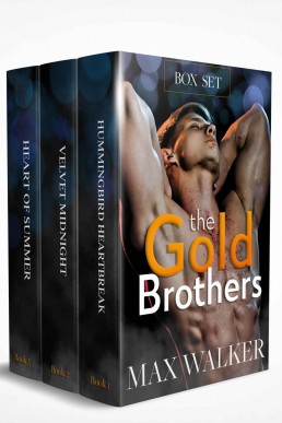 The Gold Brothers (Box Set 1-3)