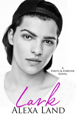 Lark (Firsts and Forever Stories Book 5)