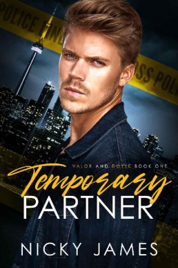 Temporary Partner (Valor and Doyle Mysteries #1)