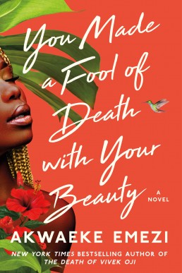 You Made a Fool of Death with Your Beauty: A Novel