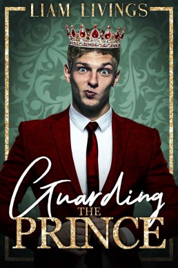 Guarding the Prince: An opposites attract, out for you, sensual gay romance