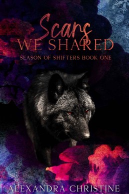 Scars We Shared : Season of Shifters Book 1 (MMF)