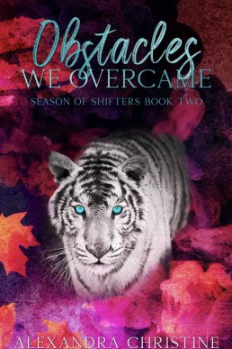 Obstacles We Overcame: Season of Shifters Book 2 (MMM)