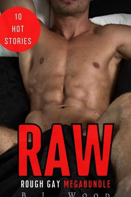 Raw: Rough Gay Megabundle