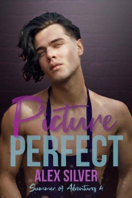 Picture Perfect (Summer of Adventures #4)