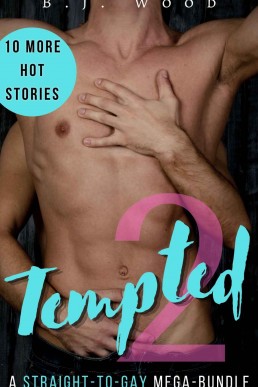 Tempted 2: A Straight-to-Gay Mega-Bundle