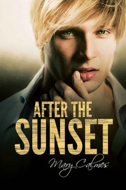 After The Sunset (Timing Book 2)