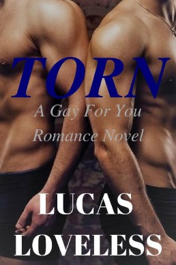 Torn: A Gay For You Romance Novel