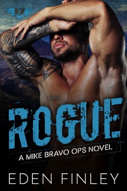 Rogue (Mike Bravo Ops #2)