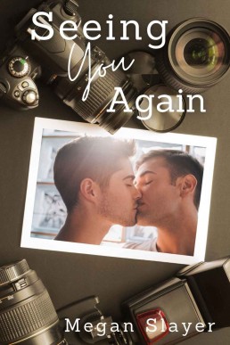 Seeing You Again (Picture This Book 3)