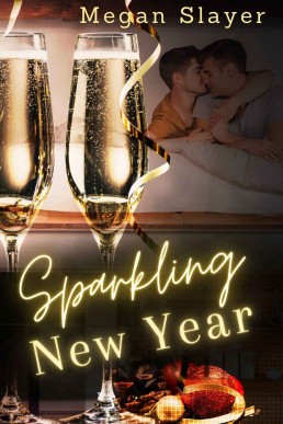 Sparkling New Year (Picture This Book 1)