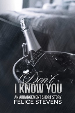 Don't I Know You (Soulmates #2.5)