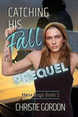 Catching His Fall  (Mesa Boys Book 1)