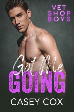 Got Me Going (Vet Shop Boys #5)