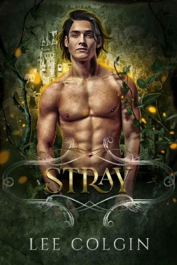 Stray (Outcast Mates #3)