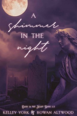 A Shimmer in the Night (Dark is the Night 2.5)